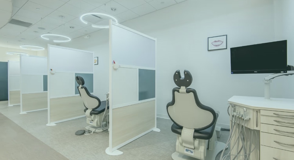 Board-Certified Orthodontist